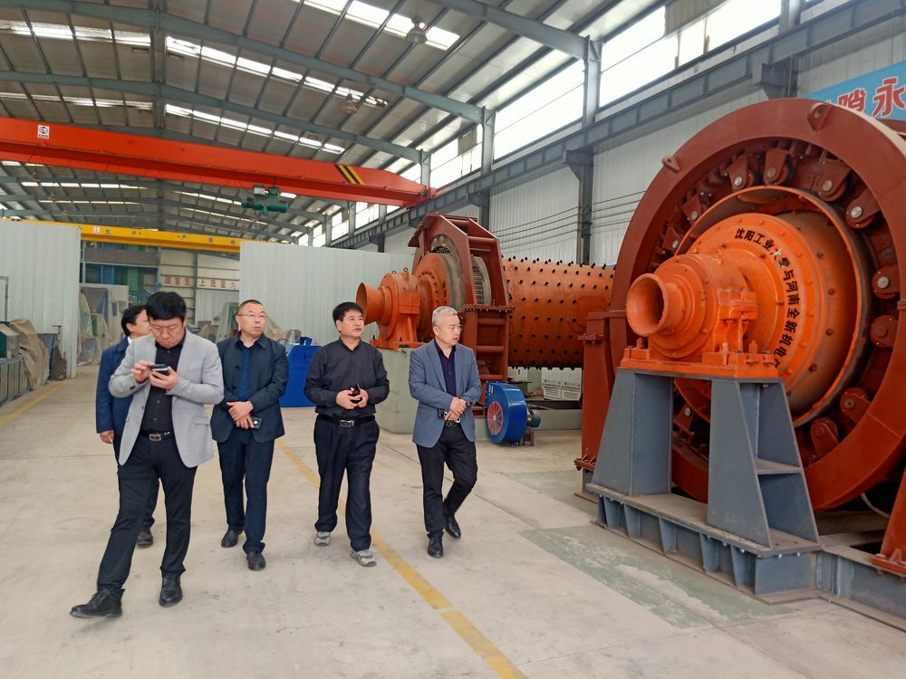 市領導來公（gōng）司（sī）考察高低壓電機和永磁直驅球磨機